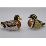 Two Royal Crown Derby porcelain paperweights, a Carolina duck and a Mallard duck, each with gold