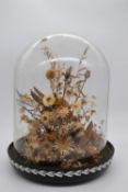 A 20th century dry flower arrangement under a glass dome. Dia.34cm