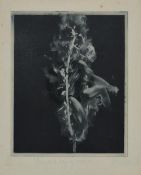 T. A. Wilson, Through a Hoop of Real Fire, pencil signed limited edition print, framed, signed and