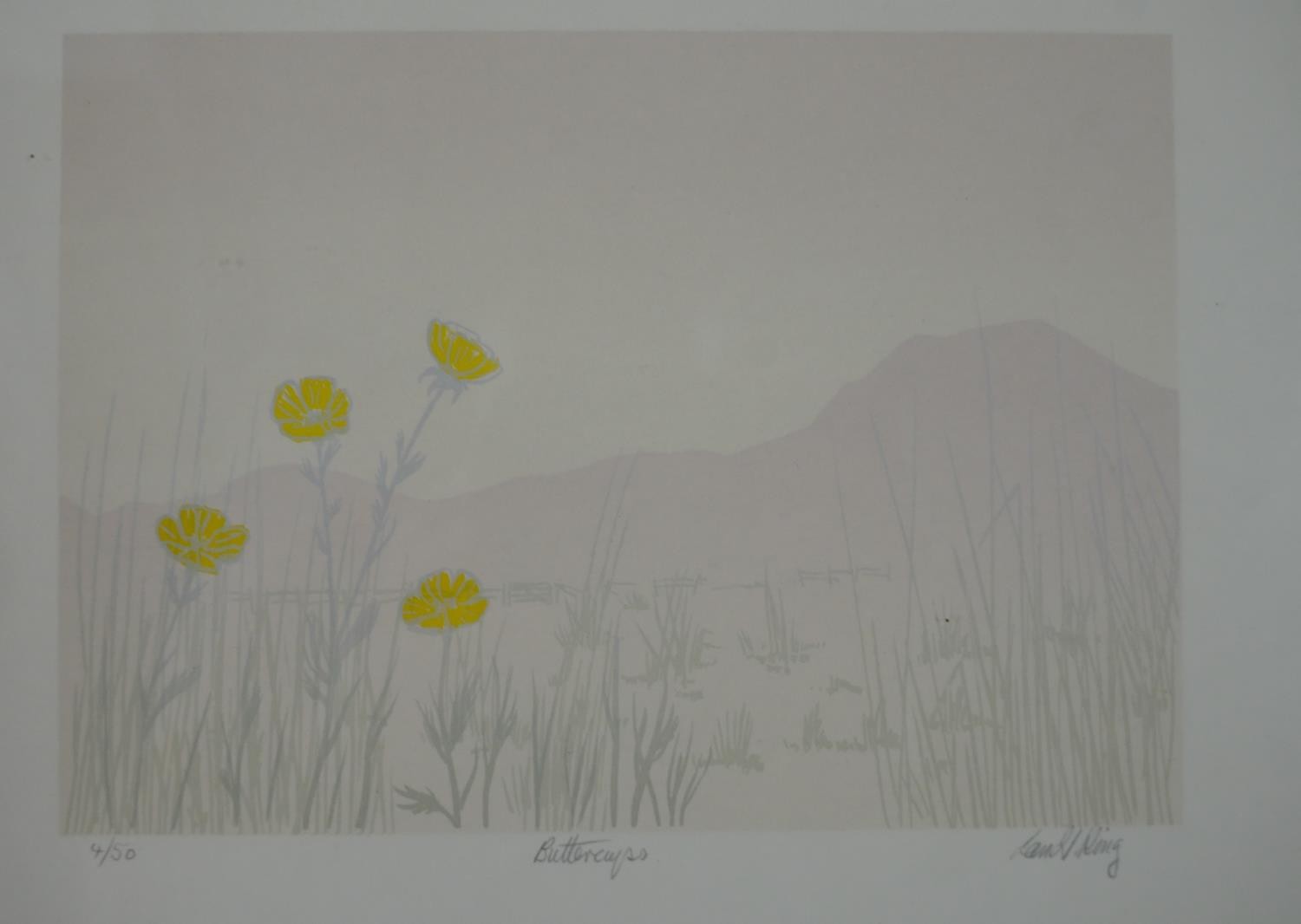 Three framed and glazed signed engravings of flowers and landscapes. 'Return to the Land' by Chris - Image 7 of 10