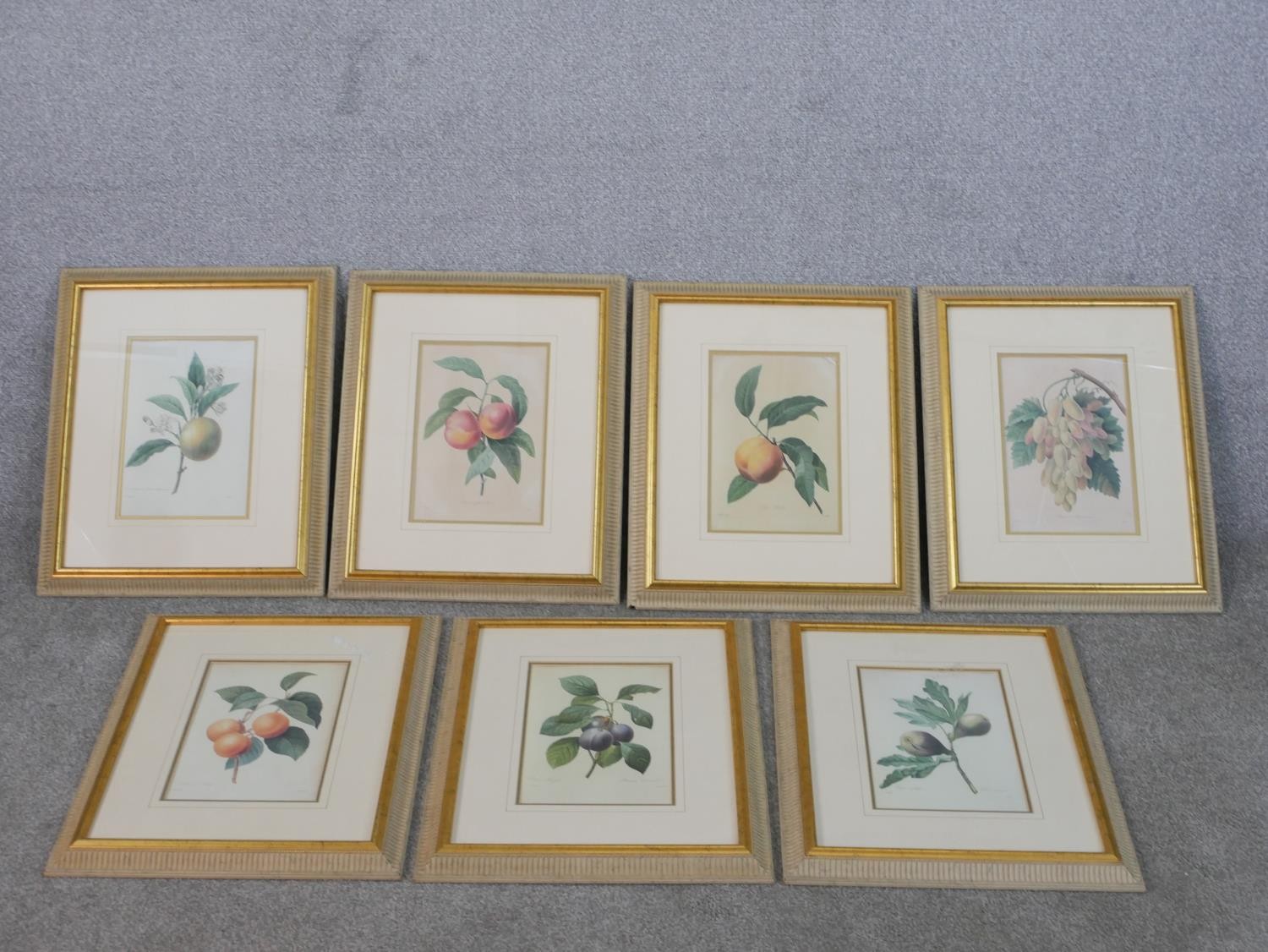 After Pierre-Joseph Redoute a set of seven gilt framed and glazed hand coloured botanical engravings
