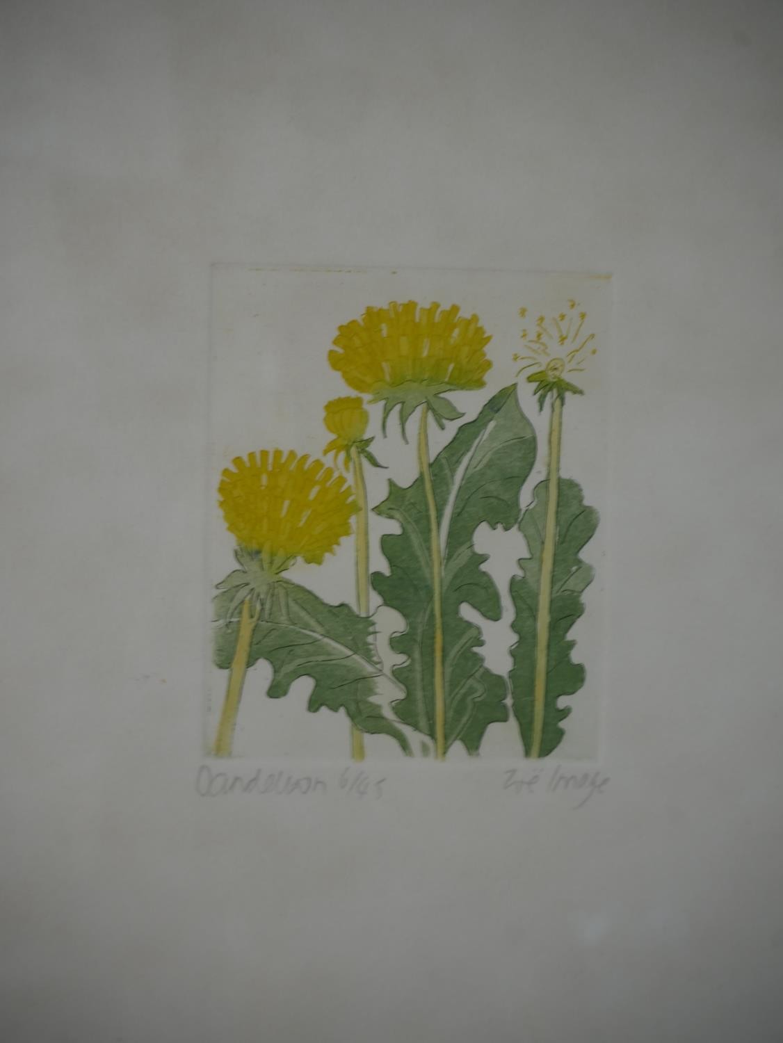 Three framed and glazed signed engravings of flowers and landscapes. 'Return to the Land' by Chris - Image 6 of 10