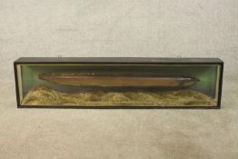 A mid 20th century cased taxidermy Eel caught by Mr. G. Monk in the Dorset Stour River 10th August