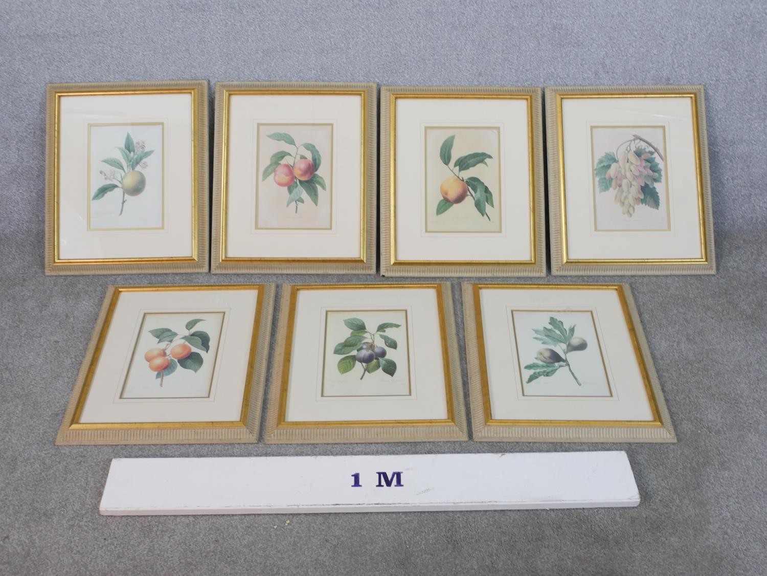 After Pierre-Joseph Redoute a set of seven gilt framed and glazed hand coloured botanical engravings - Image 2 of 6