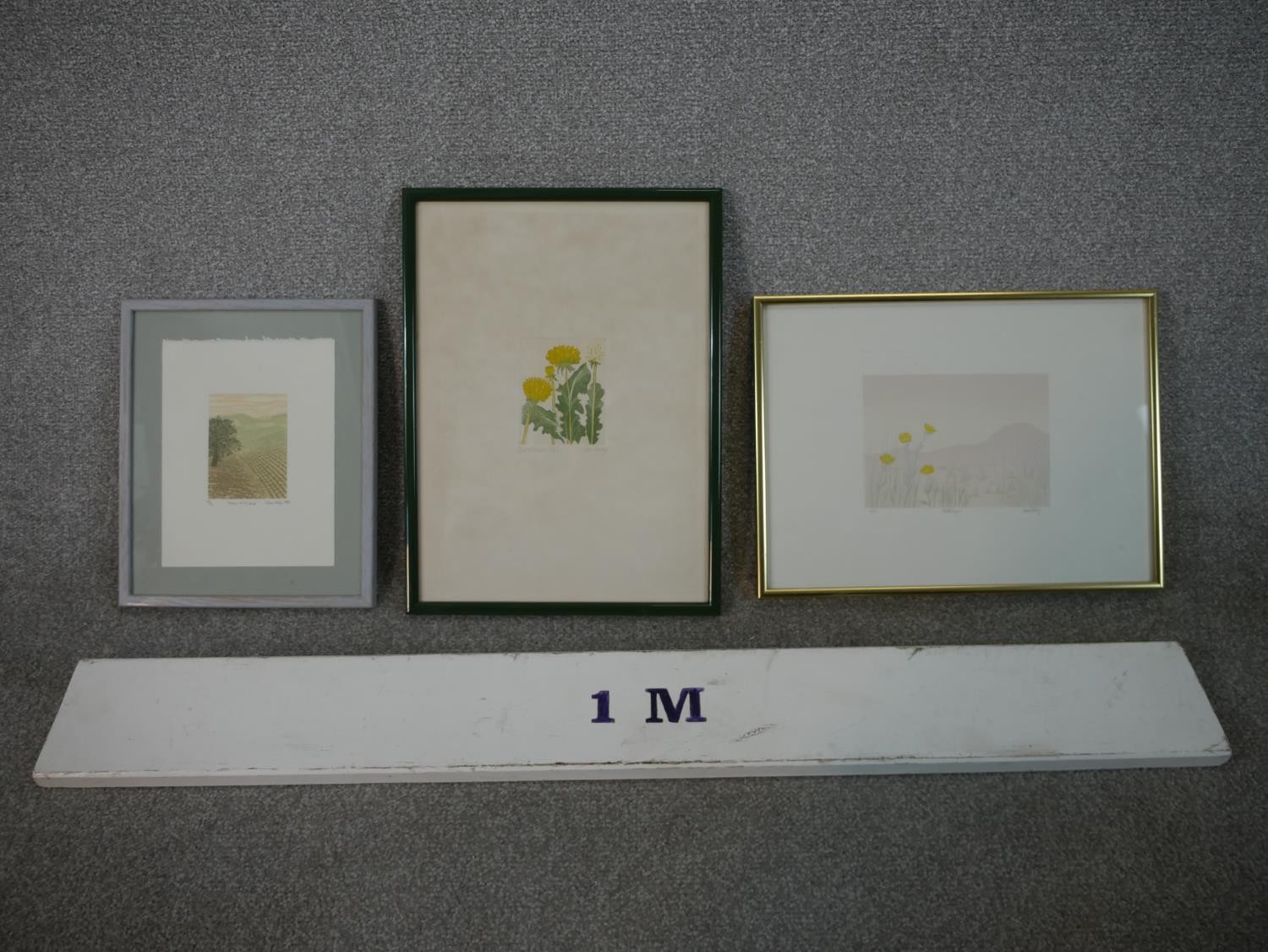 Three framed and glazed signed engravings of flowers and landscapes. 'Return to the Land' by Chris - Image 2 of 10