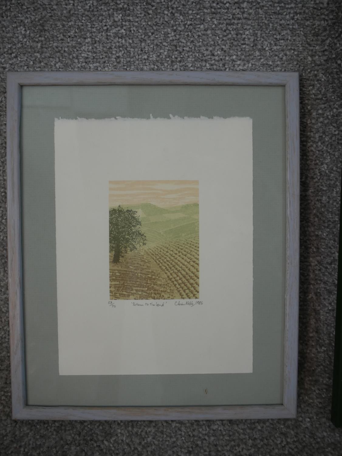 Three framed and glazed signed engravings of flowers and landscapes. 'Return to the Land' by Chris - Image 3 of 10