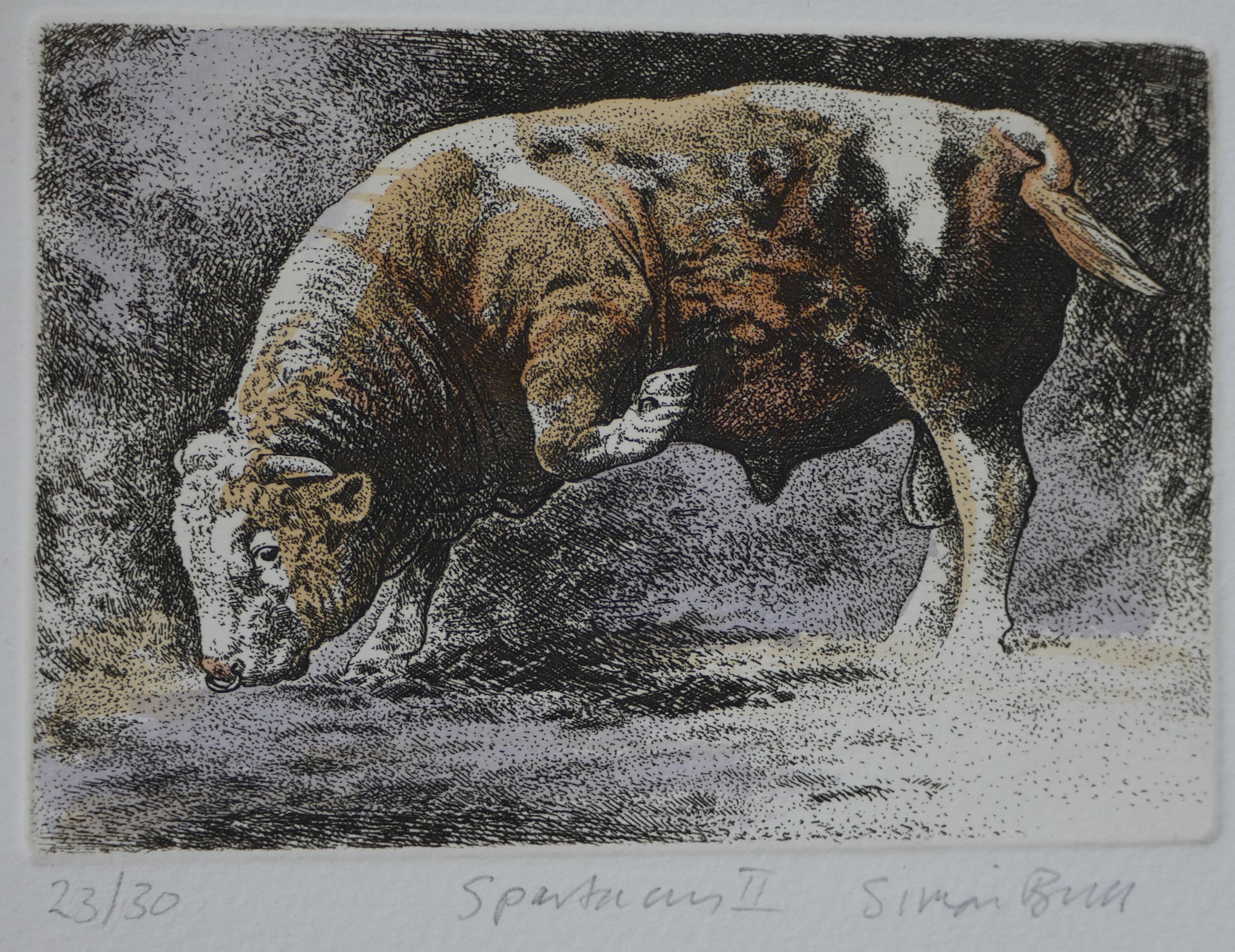 Simon Bull, 1958, hand coloured etching, 'Spartacus II', signed and numbered along with a - Image 8 of 8