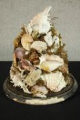 A 19th century seashell display ornament mounted on an ebonised circular base. H.40 Dia.36cm.
