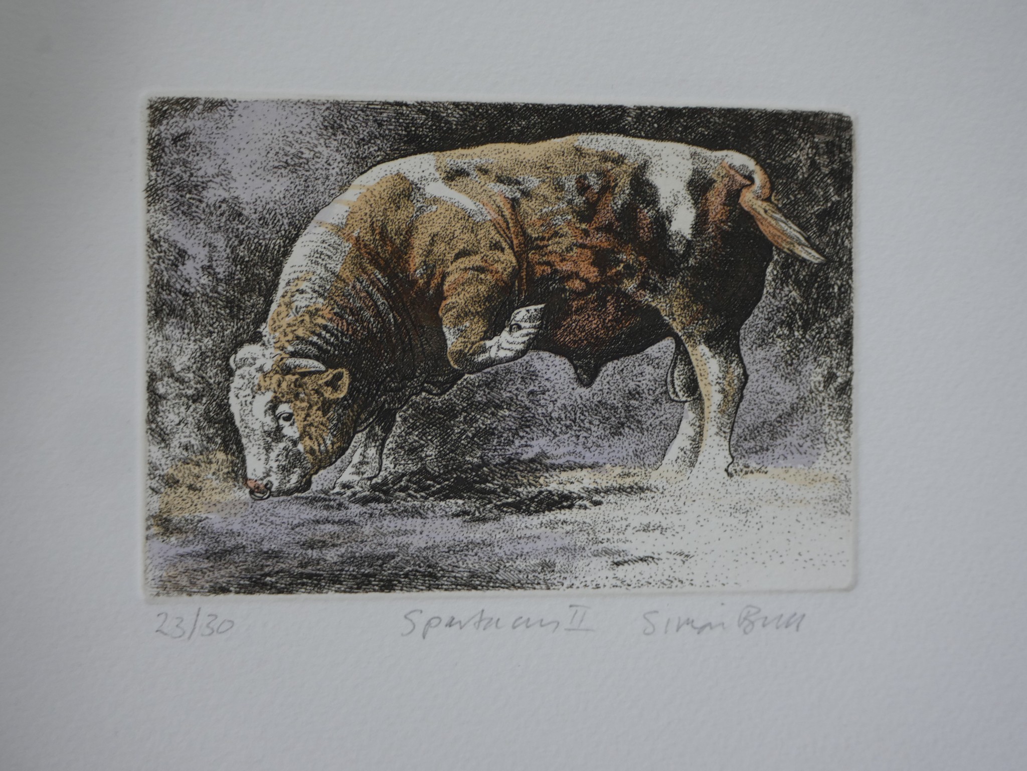 Simon Bull, 1958, hand coloured etching, 'Spartacus II', signed and numbered along with a - Image 7 of 8