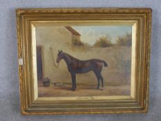 William Vivian Tippet (1833 - 1910), Cornwall, an equine study of a standing horse in a stable,