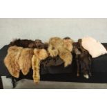 A vintage leather suitcase full of various types of fur, including mink, rabbit and fox. Two mink