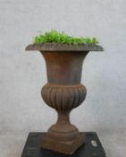 An early 20th century cast iron Campagna shaped garden planter raised on square base. H.75 Diam.55cm