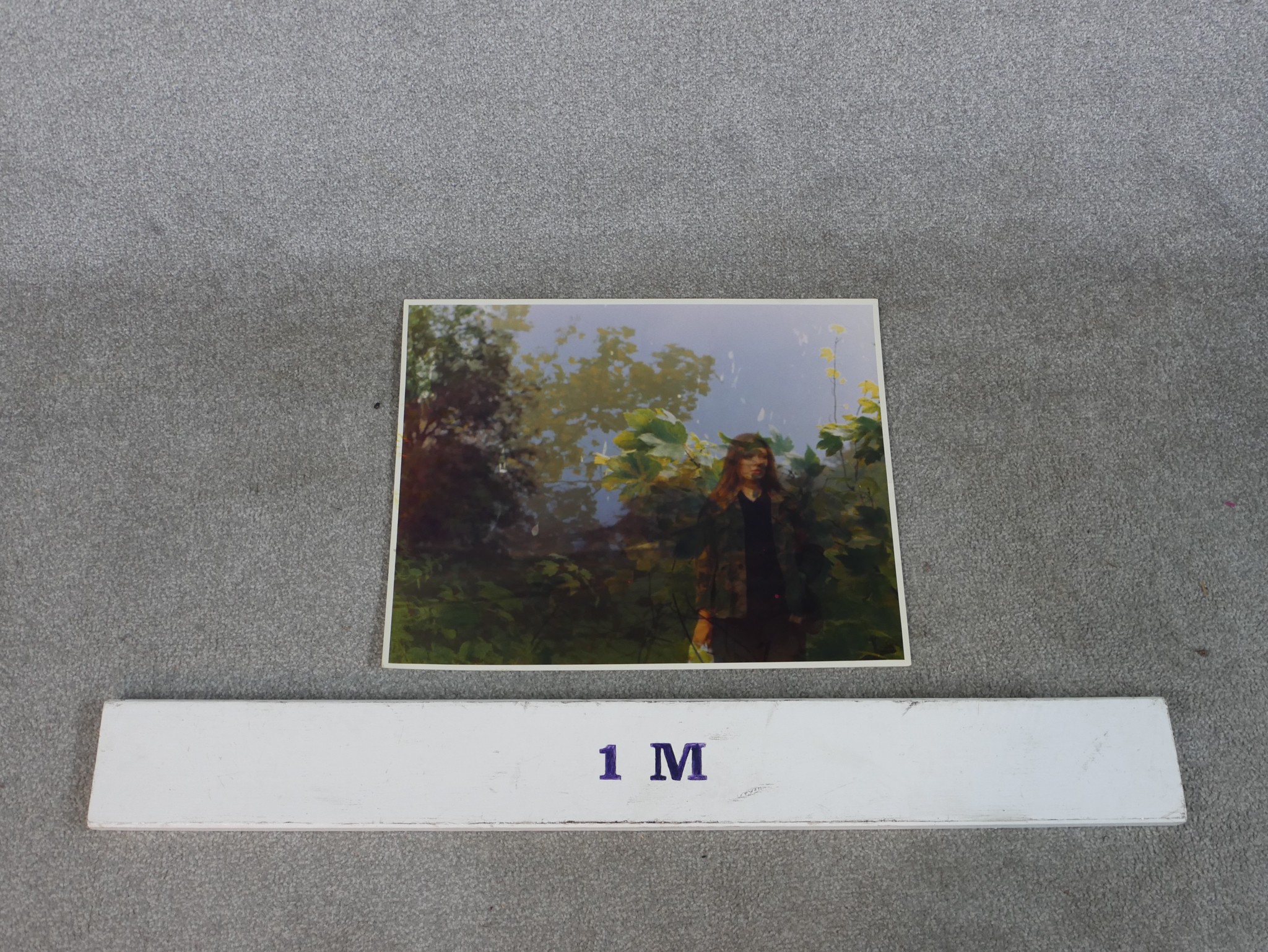 Kip Poulson (20th century); Lady hiding in the bushes, coloured photograph, unframed, signed in - Image 4 of 5