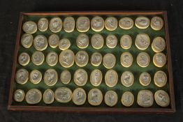 A set of 19th century Grand Tour plaster intaglios with metal mounts in an inlaid mahogany box. H.