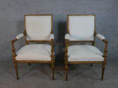 A pair of 19th century French Louis XVI style armchairs, with gilded carved and gesso frames,