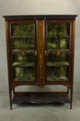 An Edwardian inlaid mahogany twin door display cabinet, the cornice carved with stylised flowers and