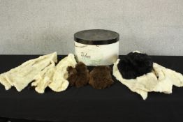 A Peter Jones box of early 20th century ermine fur and black rabbit fur pelts and a pair of brown