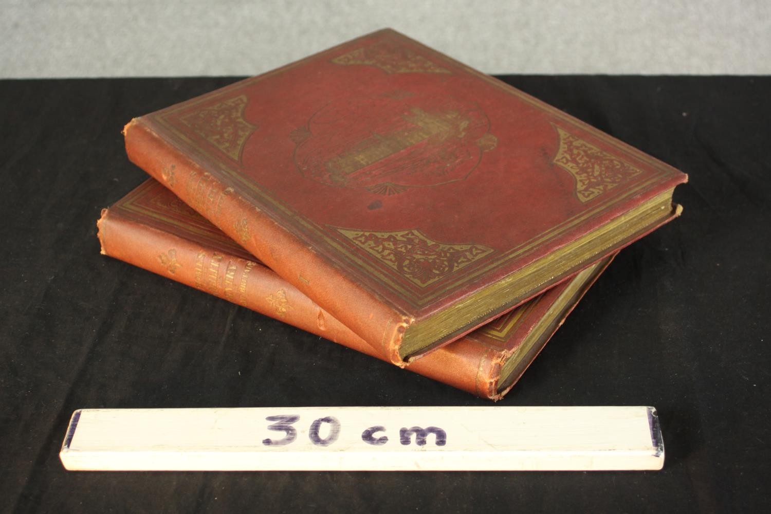 E. O. Morris, Picturesque Views of Seats of Noblemen & Gentlemen, two clothbound volumes with gilt - Image 2 of 5