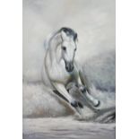 A 20th century, acrylic on canvas, a galloping horse, unsigned and unframed. H.92 W.62cm