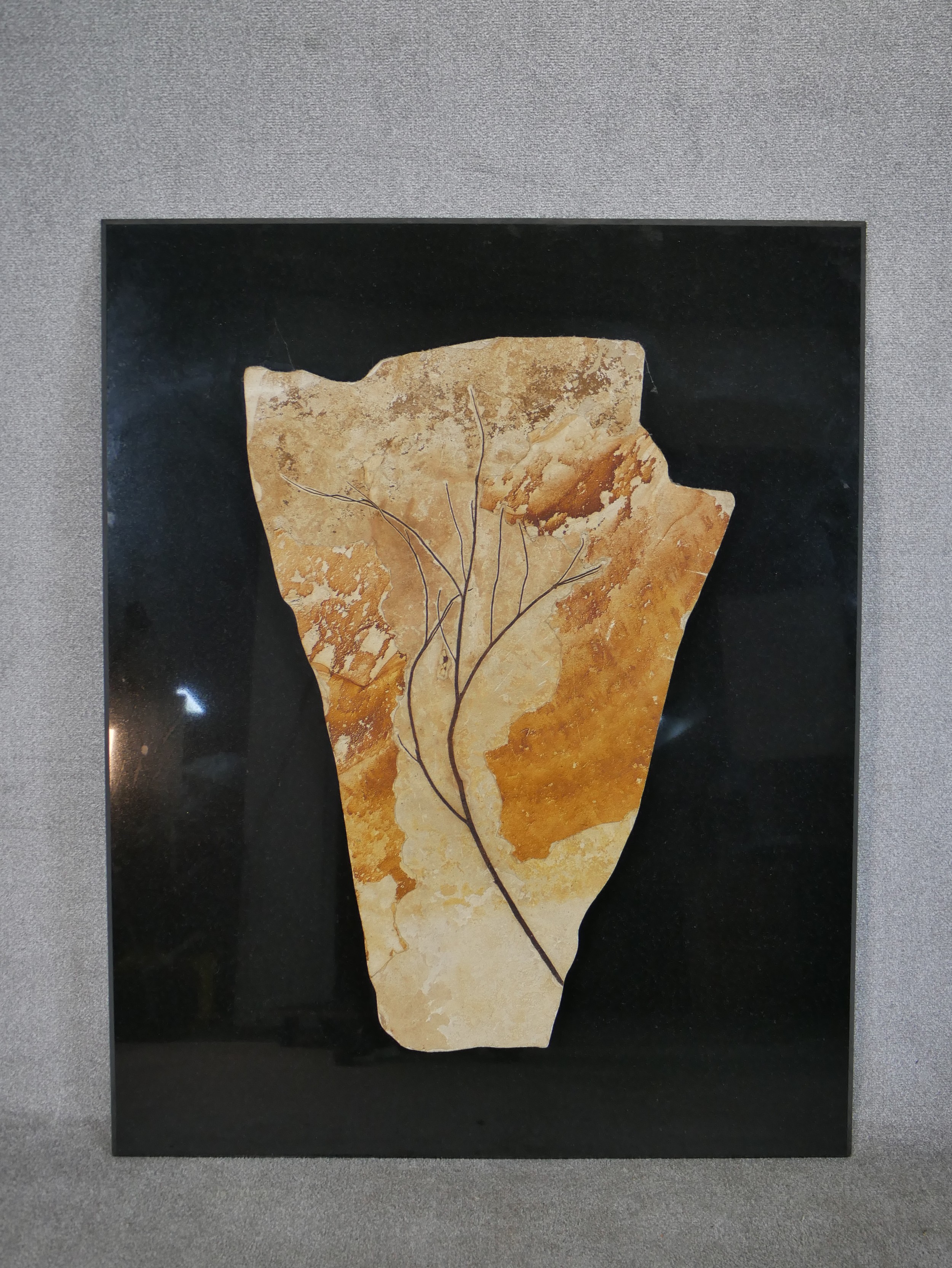 A Miocene period (20 million years) mounted fossil from a branch of a tree from Wyoming, with marble - Image 2 of 10
