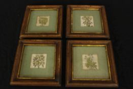 A set of four late 18th/early 19th century handcoloured botanical woodcut prints, each framed. H.21