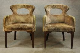 A pair of mid 20th century hardwood framed and velvet covered arm chairs, raised on tapering