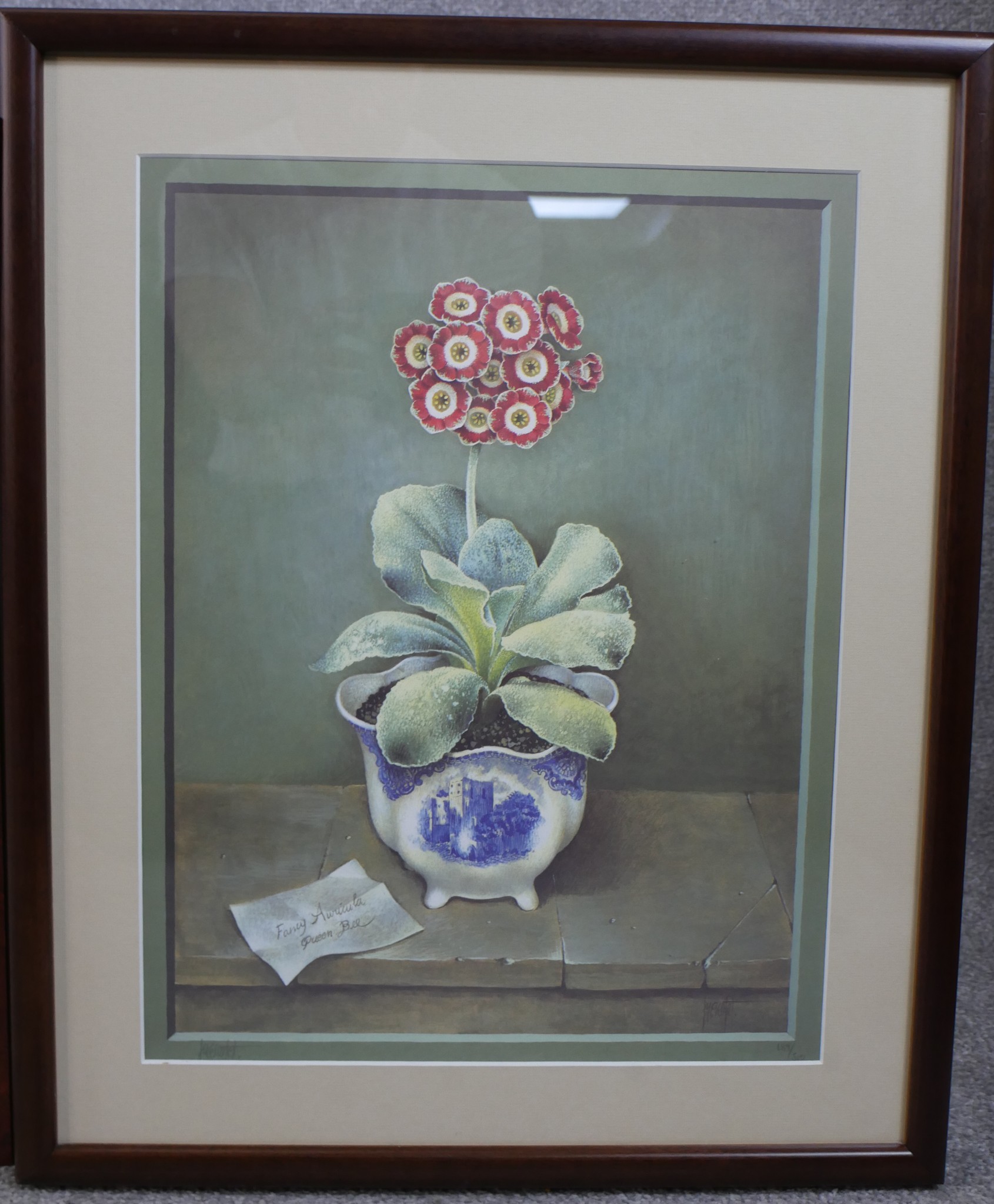 José Escofet (Spanish b.1932); three coloured prints of Auriculas, pencil signed limited edition - Image 4 of 10