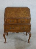 An early 20th century burr walnut fall front bureau, opening to reveal fitted interior with two over