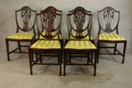 A set of six Sheraton style mahogany framed shield back dining chairs, with yellow upholstered