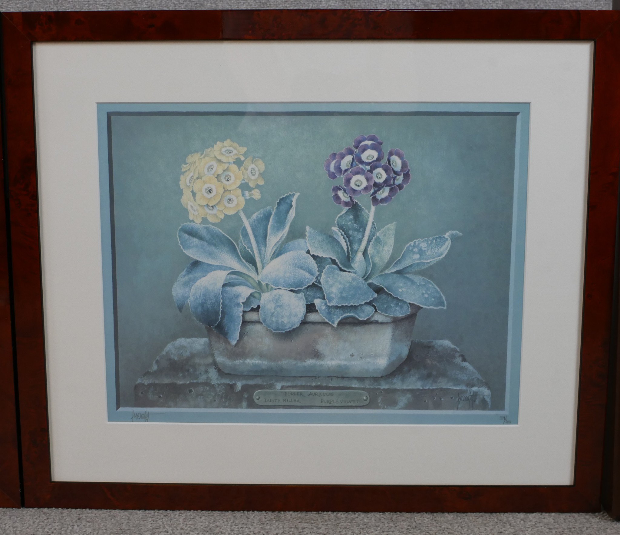 José Escofet (Spanish b.1932); three coloured prints of Auriculas, pencil signed limited edition - Image 3 of 10