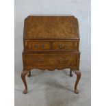 An early 20th century burr walnut fall front bureau, opening to reveal fitted interior with two over