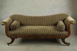 A Regency rosewood framed scroll arm settee upholstered in brown fabric, raised on four outswept