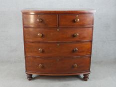 A 19th century mahogany bow fronted chest of two short over three long drawers with turned handles