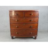 A 19th century mahogany bow fronted chest of two short over three long drawers with turned handles