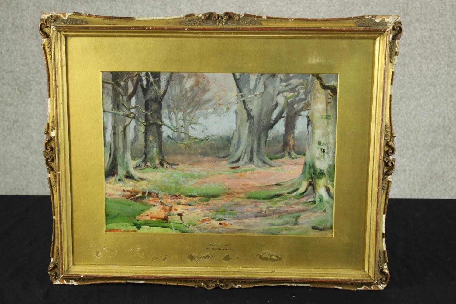 R. Richards (19th/20th century) New Forest, watercolour on paper, gilt framed. H.40 W.50cm. - Image 2 of 6