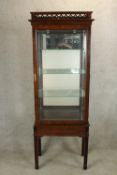 A late 19th/early 20th century mahogany framed single glazed door display cabinet with three