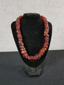 A large antique amber bead necklace comprising of 62 beads, the largest measuring 2.5cm by 2cm.
