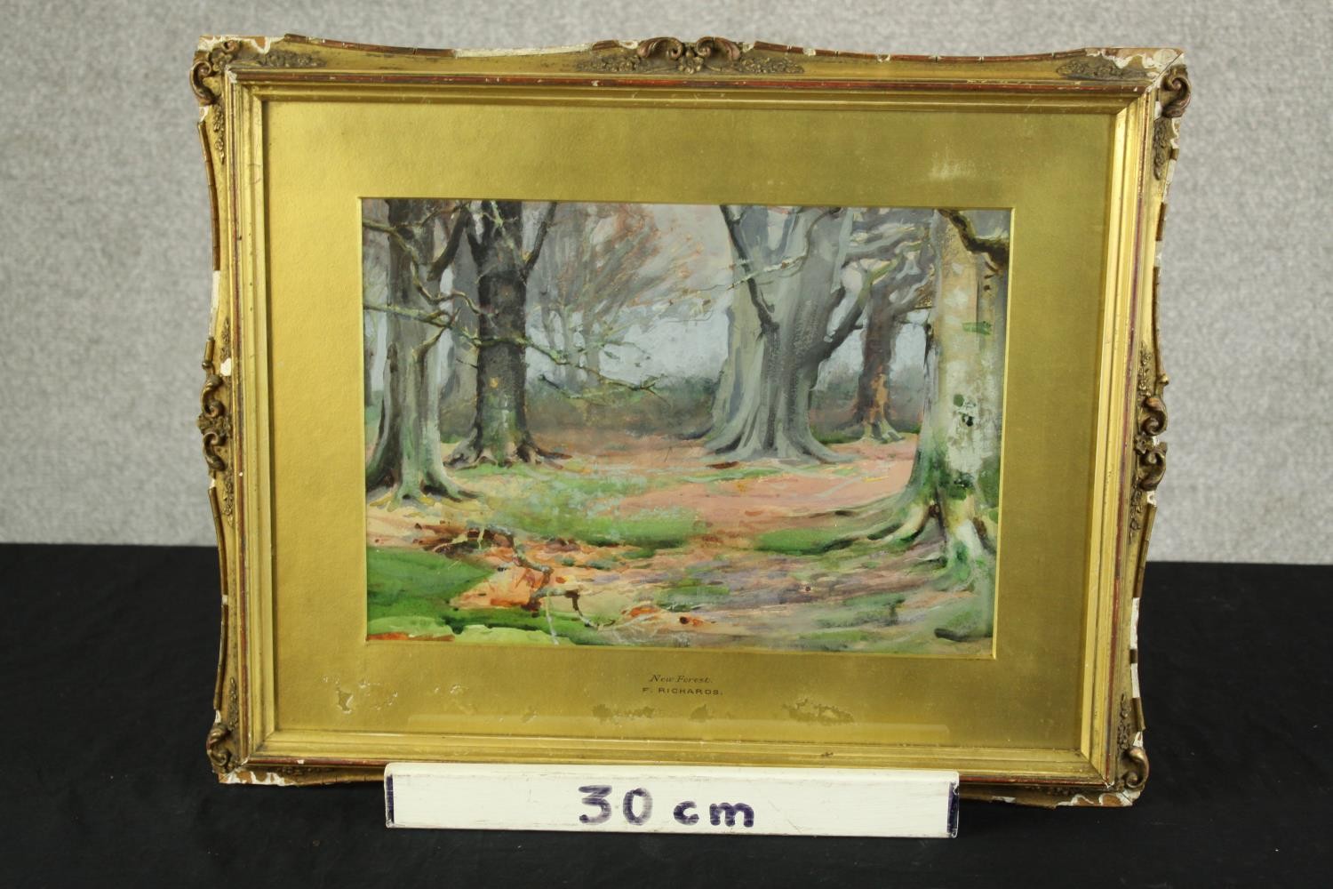 R. Richards (19th/20th century) New Forest, watercolour on paper, gilt framed. H.40 W.50cm. - Image 3 of 6