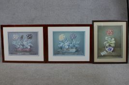 José Escofet (Spanish b.1932); three coloured prints of Auriculas, pencil signed limited edition