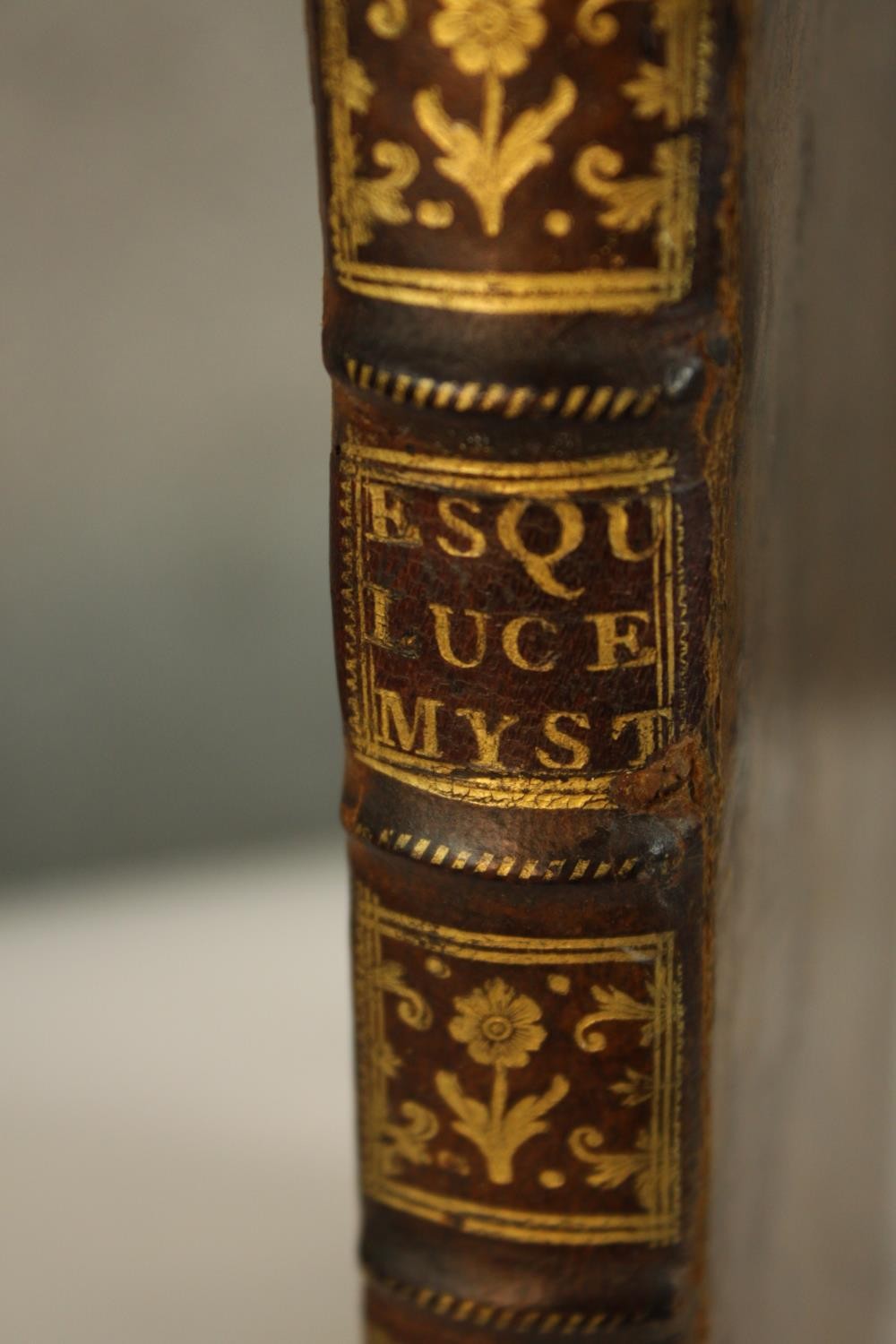 Josepho Lopez Ezquerra, Lucerna Mystica, a leather bound volume with gilt highlighted spine - Image 2 of 4