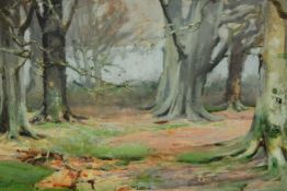 R. Richards (19th/20th century) New Forest, watercolour on paper, gilt framed. H.40 W.50cm.