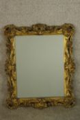 A late 19th/early 20th century Italian carved gilt framed rectangular wall mirror. H.60 W.50cm.