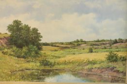 20th century, indistinctly signed, lake in a landscape, oil on canvas, framed. H.75 W.105cm.