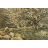 20th century, sheep in the wood, coloured print on paper, in a gilt frame. H.64 W.89cm.