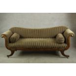 A Regency rosewood framed scroll arm settee upholstered in brown fabric, raised on four outswept