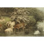David Bandley, sheep & cattle bathing in the river, a 19th century framed coloured print, signed and