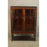 A late 19th/early 20th mahogany twin door display cabinet raised on turned supports and shelf