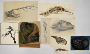 TREVOR FRANKLAND (British 1931-2011). A collection of nine studies. Ink, pencil and paint.