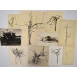 TREVOR FRANKLAND (British 1931-2011). Nine studies of trees. Ink and pencil on paper. H.45 W.34.5cm