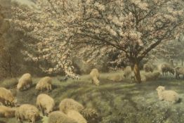 20th century, sheep in the wood, coloured print on paper, in a gilt frame. H.64 W.89cm.